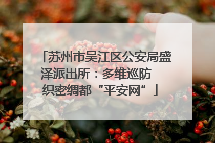 苏州市吴江区公安局盛泽派出所：多维巡防  织密绸都“平安网”