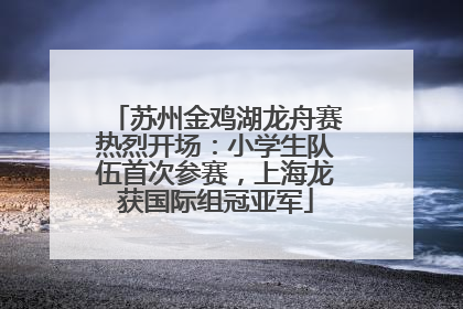 苏州金鸡湖龙舟赛热烈开场：小学生队伍首次参赛，上海龙获国际组冠亚军