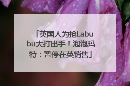 英国人为抢Labubu大打出手！泡泡玛特：暂停在英销售