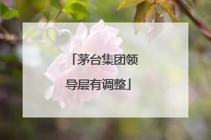 茅台集团领导层有调整
