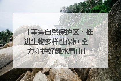 董寨自然保护区：推进生物多样性保护 全力守护好绿水青山