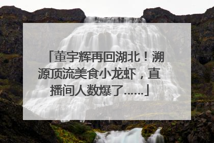 董宇辉再回湖北！溯源顶流美食小龙虾，直播间人数爆了……