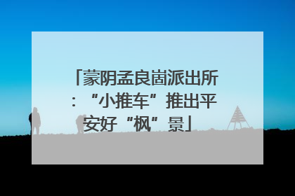 蒙阴孟良崮派出所：“小推车”推出平安好“枫”景