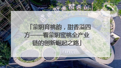 蒙阴育桃韵，甜香溢四方——看蒙阴蜜桃全产业链的创新崛起之路