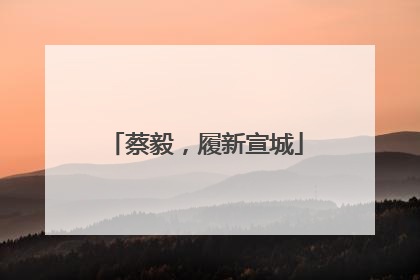 蔡毅，履新宣城