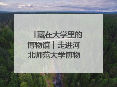 藏在大学里的博物馆｜走进河北师范大学博物馆天地科学馆：在校园里赴一场“宇宙之约”