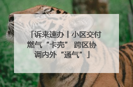 诉来速办丨小区交付燃气“卡壳” 跨区协调内外“通气”