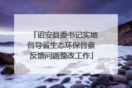 诏安县委书记实地督导省生态环保督察反馈问题整改工作