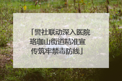 警社联动深入医院 珞珈山街道精准宣传筑牢禁毒防线