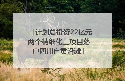 计划总投资22亿元 两个精细化工项目落户四川自贡沿滩