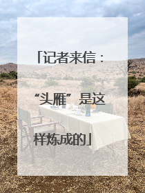 记者来信：“头雁”是这样炼成的