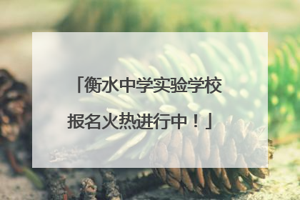 衡水中学实验学校报名火热进行中！