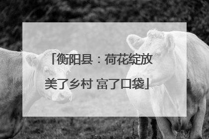 衡阳县：荷花绽放 美了乡村 富了口袋