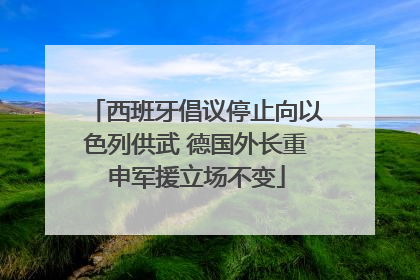西班牙倡议停止向以色列供武 德国外长重申军援立场不变