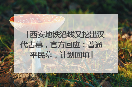 西安地铁沿线又挖出汉代古墓，官方回应：普通平民墓，计划回填