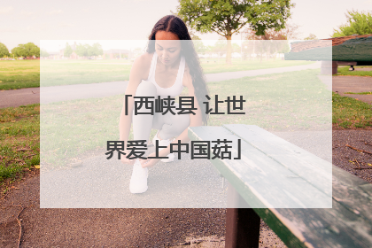 西峡县 让世界爱上中国菇