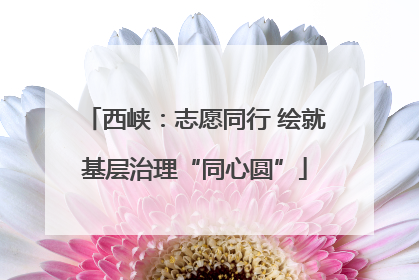 西峡：志愿同行 绘就基层治理“同心圆”