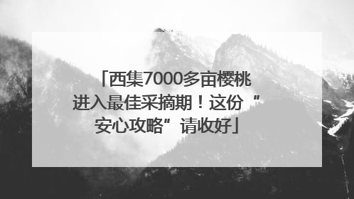 西集7000多亩樱桃进入最佳采摘期！这份“安心攻略”请收好