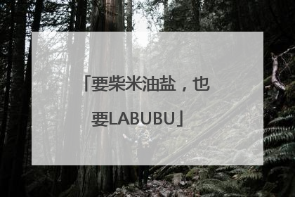 要柴米油盐，也要LABUBU