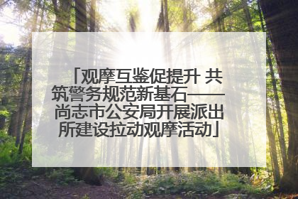 观摩互鉴促提升 共筑警务规范新基石——尚志市公安局开展派出所建设拉动观摩活动