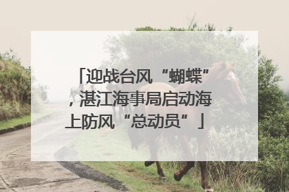 迎战台风“蝴蝶”，湛江海事局启动海上防风“总动员”