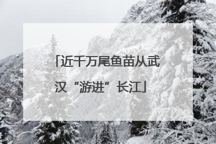 近千万尾鱼苗从武汉“游进”长江