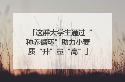 这群大学生通过“种养循环”助力小麦质“升”量“高”