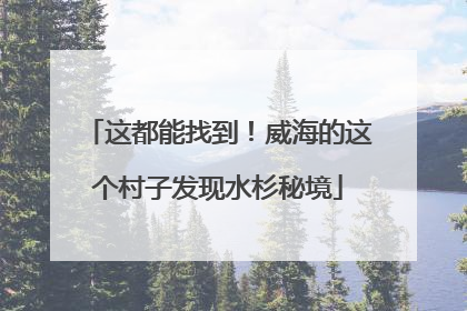 这都能找到！威海的这个村子发现水杉秘境