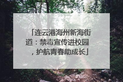 连云港海州新海街道：禁毒宣传进校园，护航青春助成长