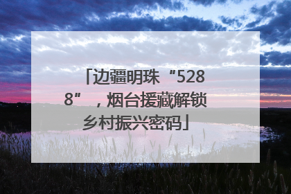 边疆明珠“5288”，烟台援藏解锁乡村振兴密码