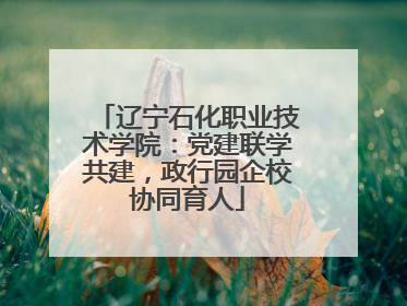 辽宁石化职业技术学院：党建联学共建，政行园企校协同育人