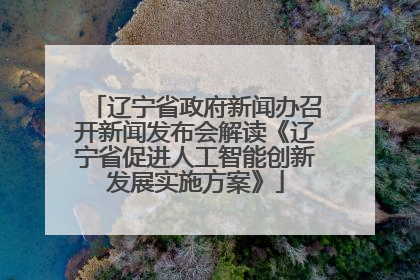 辽宁省政府新闻办召开新闻发布会解读《辽宁省促进人工智能创新发展实施方案》
