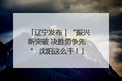 辽宁发布｜“振兴新突破 决胜勇争先” 沈阳这么干！