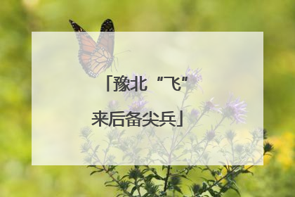 豫北“飞”来后备尖兵