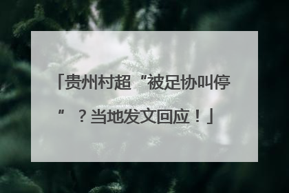 贵州村超“被足协叫停”？当地发文回应！