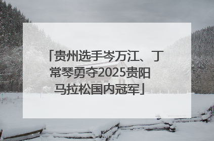 贵州选手岑万江、丁常琴勇夺2025贵阳马拉松国内冠军