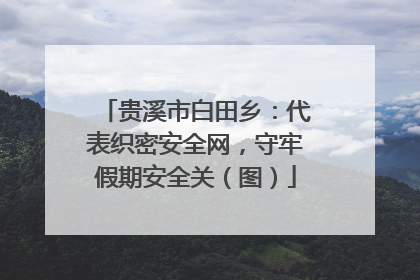贵溪市白田乡：代表织密安全网，守牢假期安全关（图）