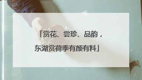赏花、尝珍、品韵，东湖赏荷季有颜有料