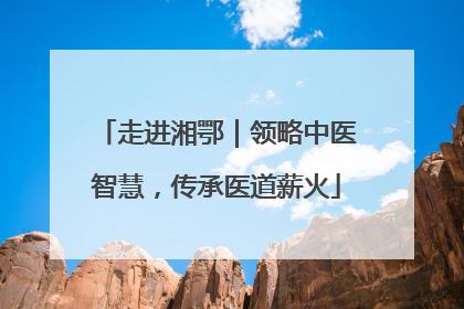 走进湘鄂｜领略中医智慧，传承医道薪火