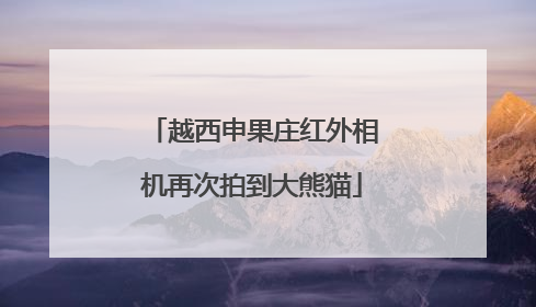 越西申果庄红外相机再次拍到大熊猫