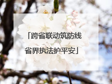 跨省联动筑防线 省界执法护平安