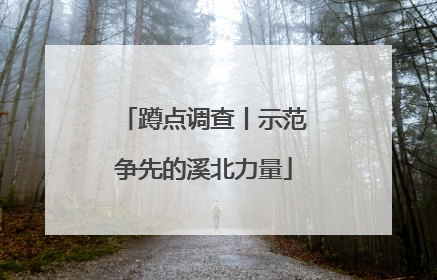 蹲点调查丨示范争先的溪北力量