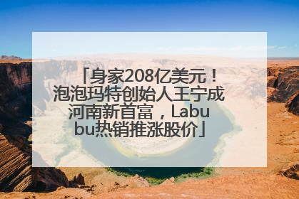 身家208亿美元！泡泡玛特创始人王宁成河南新首富，Labubu热销推涨股价