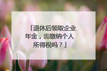 退休后领取企业年金，需缴纳个人所得税吗？