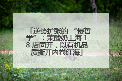 逆势扩张的 “慢哲学”：茉酸奶上海 18 店同开，以有机品质撕开内卷红海