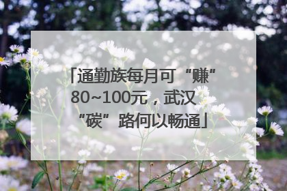 通勤族每月可“赚”80~100元，武汉“碳”路何以畅通