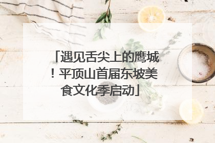 遇见舌尖上的鹰城！平顶山首届东坡美食文化季启动