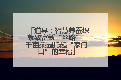 道县：智慧养蚕织就致富新“丝路” 千亩桑园托起“家门口”的幸福
