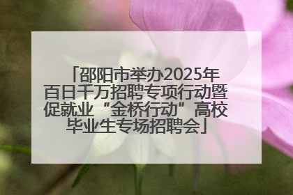 邵阳市举办2025年百日千万招聘专项行动暨促就业“金桥行动”高校毕业生专场招聘会