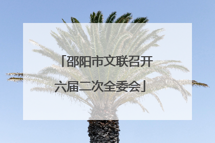 邵阳市文联召开六届二次全委会